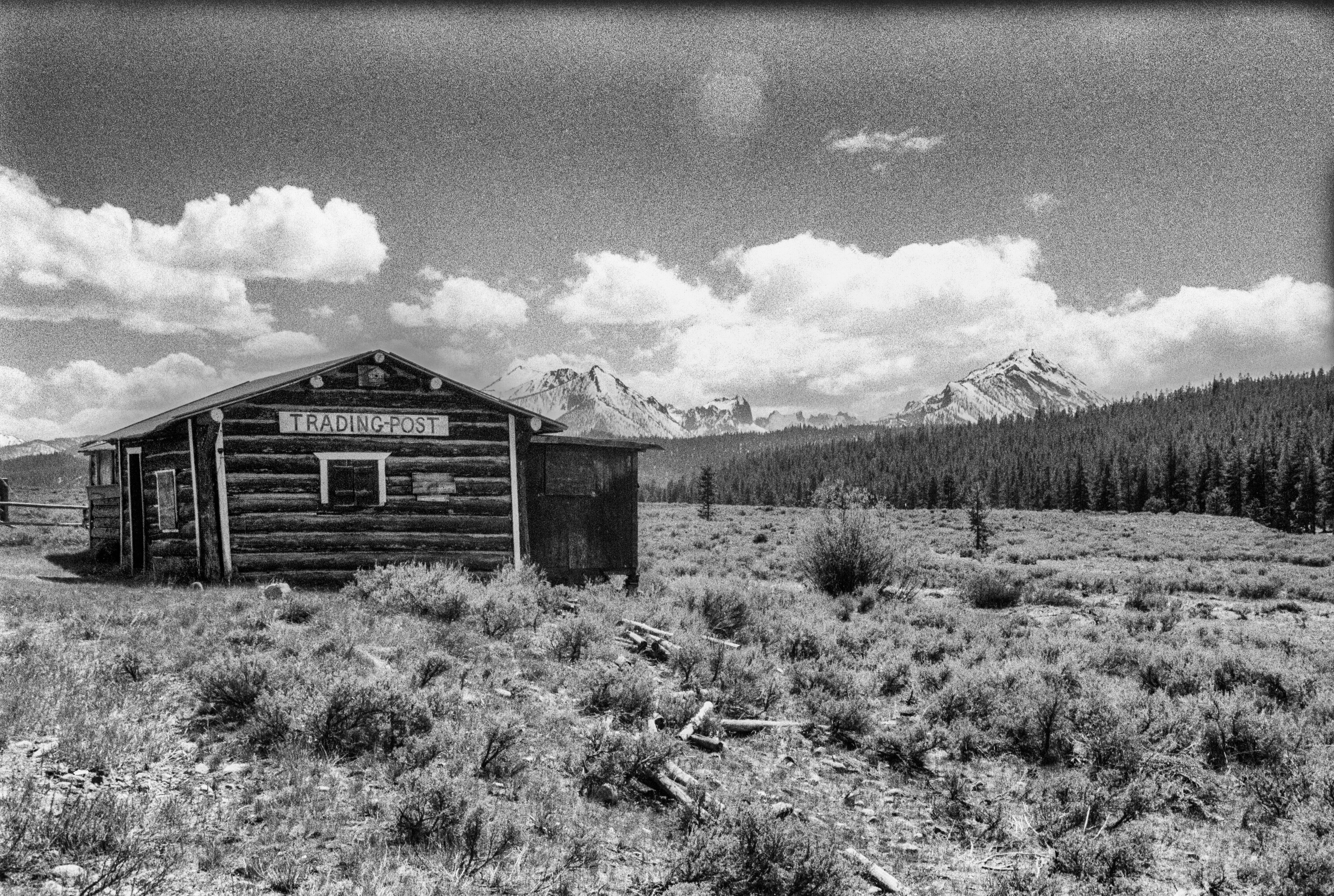 grayscale photo of wooden house near trees